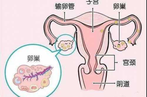 2023北京妇产医院取卵手术前预付的押金怎么退？